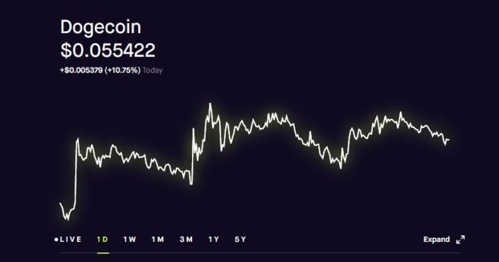 dogecoin 24 şubat 2021 güncel fiyat