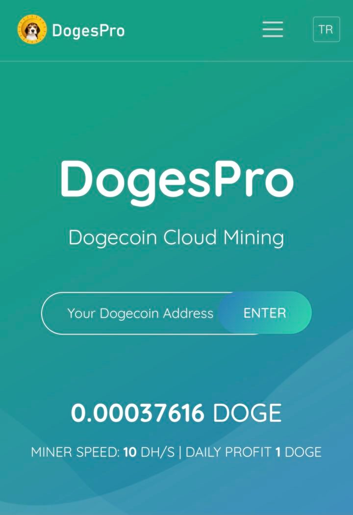 Dogespro.com sitesi hakkında bilinmesi gerekenler