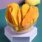 drymango